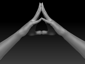3d printable female hands 20 poses pack 3D Модель