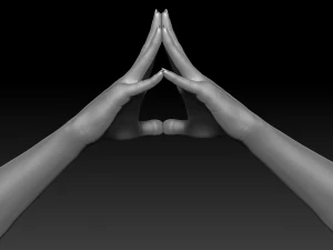 3d printable female hands 20 poses pack 3D Model