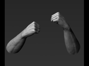 3d printable male hands 20 poses pack Modèle 3D