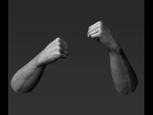 3d printable male hands 20 poses pack 3D Model