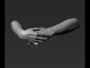 3d printable male hands 20 poses pack 3D Model