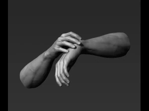 3d printable male hands 20 poses pack 3D Model