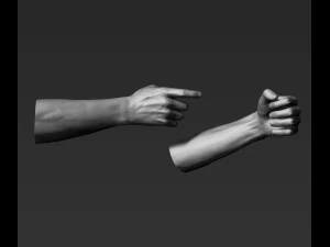 3d printable male hands 20 poses pack 3D Model