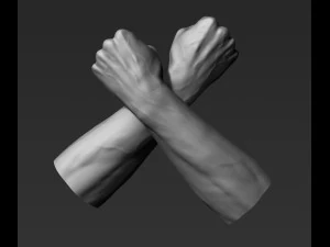 3d printable male hands 20 poses pack 3D Model