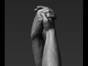 3d printable male hands 20 poses pack Modèle 3D