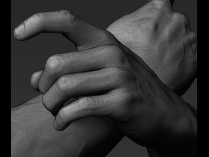 3d printable male hands 20 poses pack 3D Model