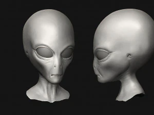 12 aliens heads 3D Model