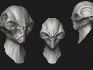 12 aliens heads 3D Model