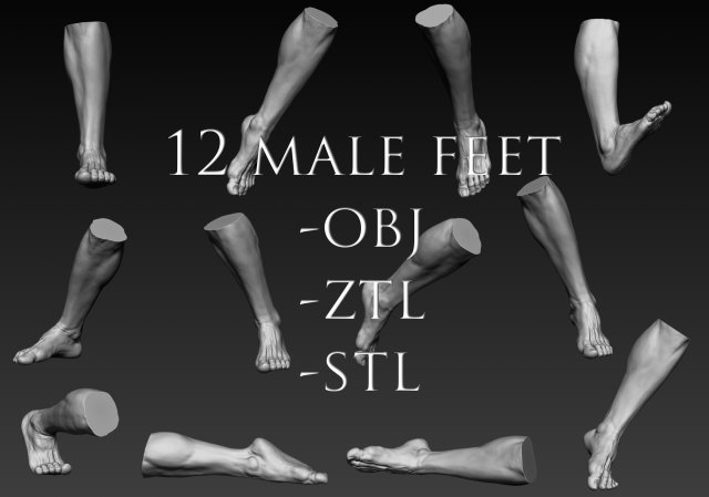12 male feet Modelo 3D .c4d .max .obj .3ds .fbx .stl .blend 