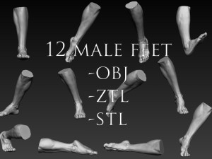 12 male feet 3D Model