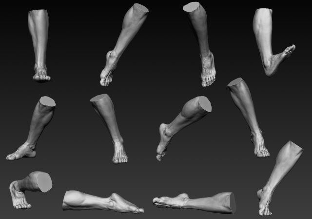 Low Poly Male Foot Sculpt Zbrush 3D Model $29 - .ztl - Free3D