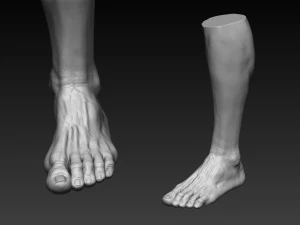 12 male feet 3D Model