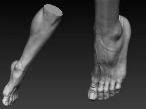 12 male feet 3D Model
