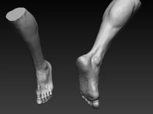 12 male feet 3D Model