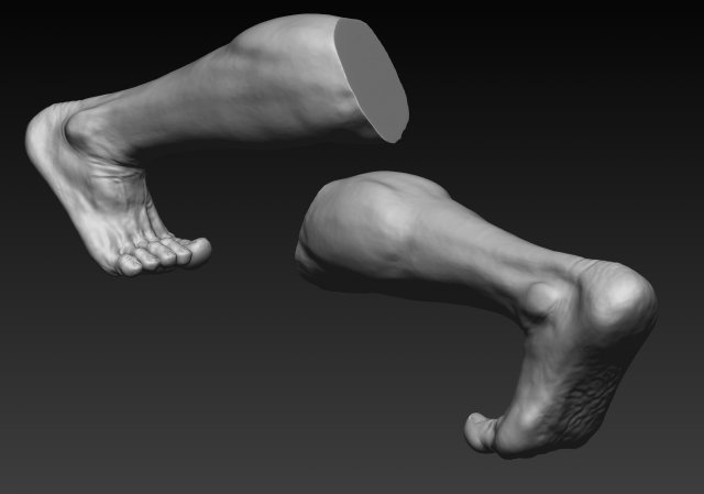 Low Poly Male Foot Sculpt Zbrush 3D Model $29 - .ztl - Free3D