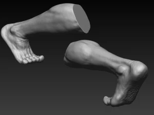 12 male feet 3D Model