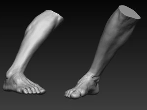 12 male feet 3D Model