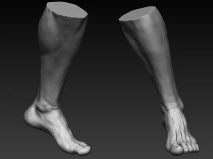 12 male feet 3D Model