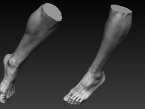 12 male feet 3D Model
