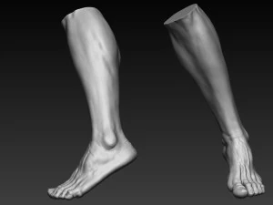 12 male feet 3D Model