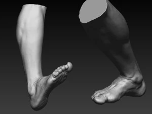 12 male feet 3D Model