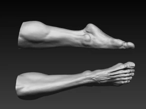 12 male feet 3D Model