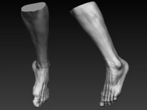 12 male feet 3D Model