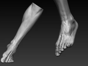 12 male feet 3D Model