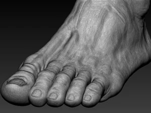 12 male feet 3D Model