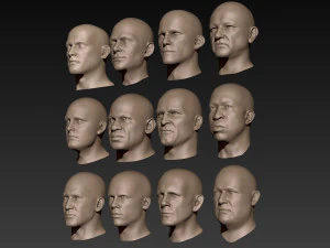 12 мужских голов 3D Модель