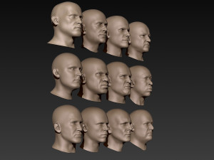 12 male heads 3D Model
