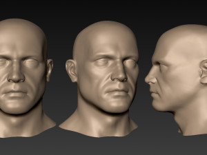 12 male heads 3D Model