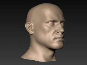 12 male heads 3D Model