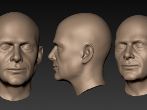 12 male heads 3D Model