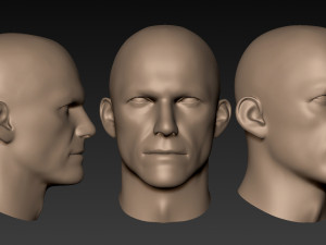 12 male heads 3D Model