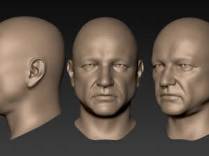12 male heads 3D Model