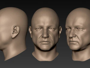 12 male heads 3D Model