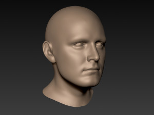 12 male heads 3D Model