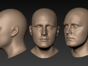 12 male heads 3D Model