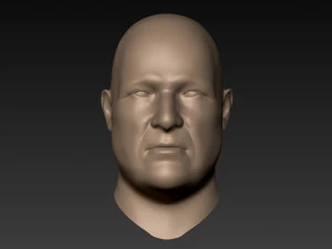 12 male heads 3D Model