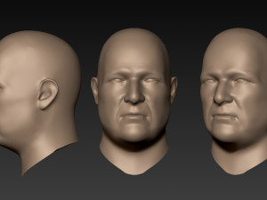 12 male heads 3D Model