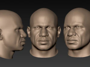 12 male heads 3D Model
