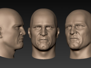 12 male heads 3D Model