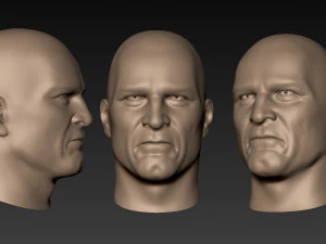 12 male heads 3D Model