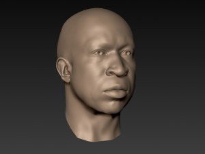 12 male heads 3D Model
