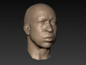 12 male heads 3D Model
