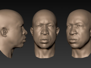 12 male heads 3D Model