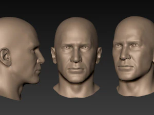 12 male heads 3D Model