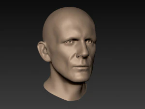 12 male heads 3D Model