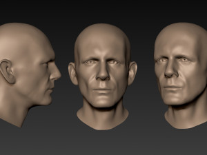 12 male heads 3D Model